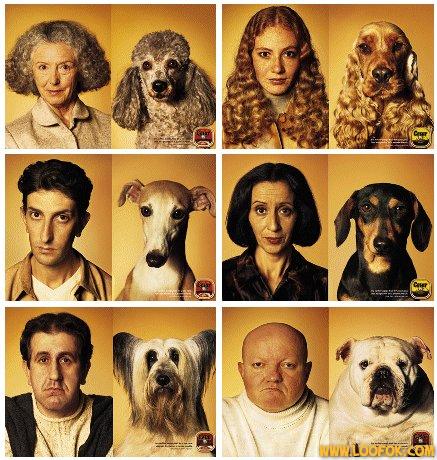 tel chien tel maitre