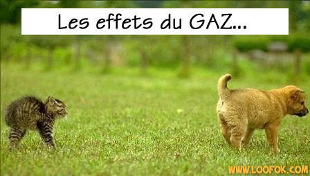 les effets gaz