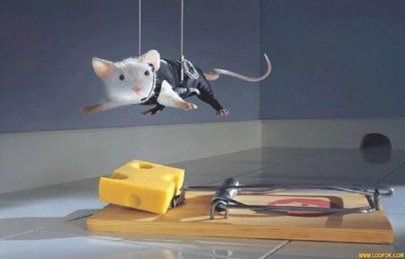 atrape souris