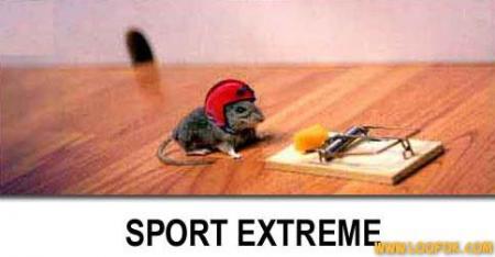 atrape souris